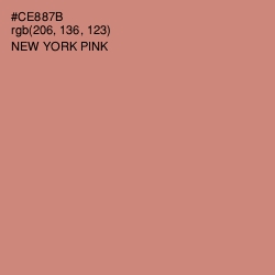 #CE887B - New York Pink Color Image